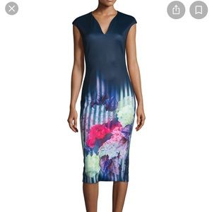 Ted Baker Hydrangea Dress